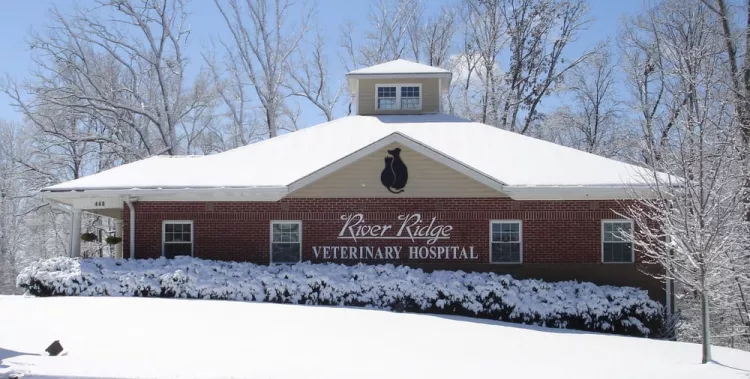 River Ridge Veterinary Hospital, North Carolina, Clemmons